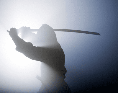 Ninja Threat Hunters